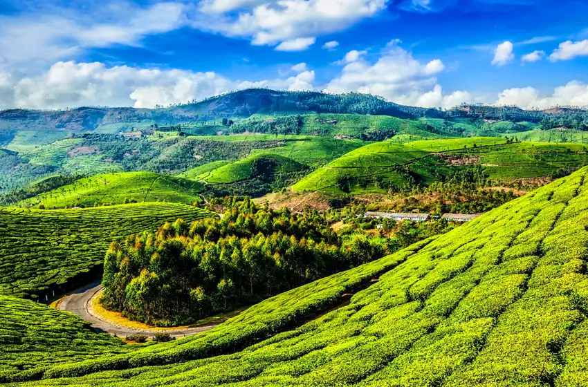 Munnar Tourism | Places to Visit in Munnar & Private Tours