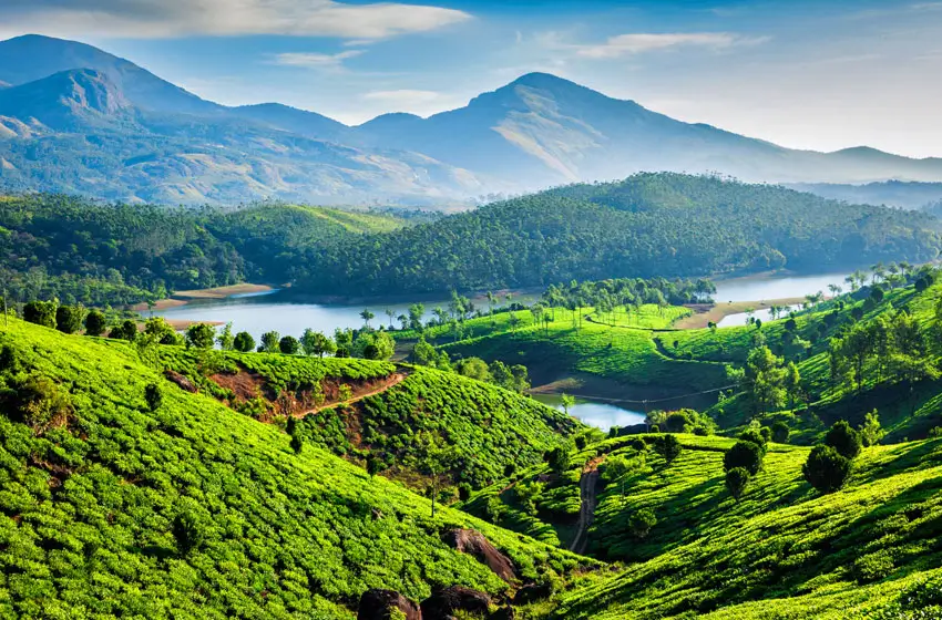 Wayanad tea gardens and reservoir kerala