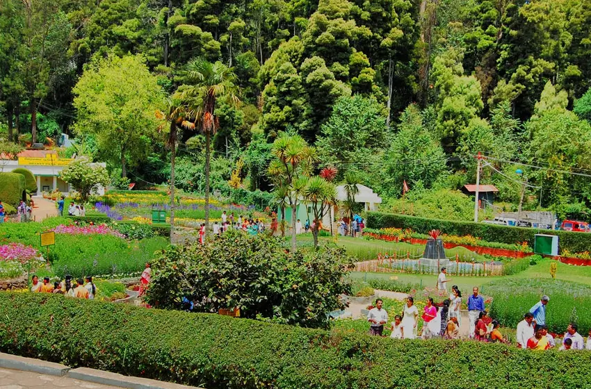 bryant park kodaikanal botanical garden flowers