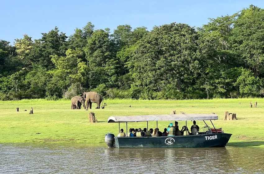 kabini backwaters boat safari wild elephants