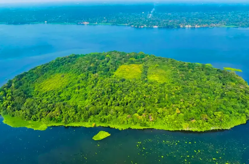 Lush green island in a blue lake aerial view