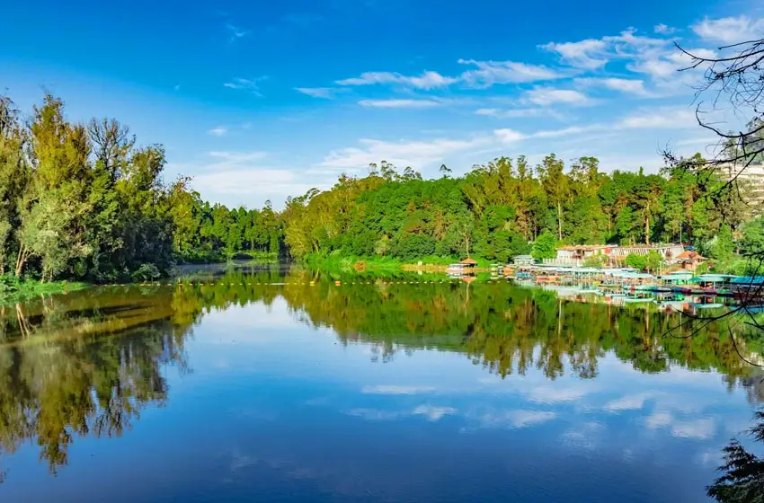 ooty lake calm water and tree reflections