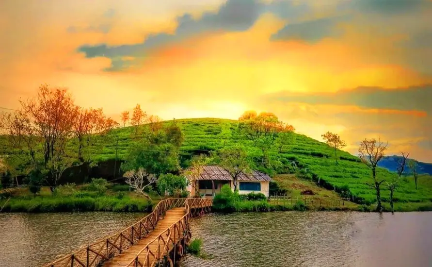 wooden bridge lake green hill sunset view