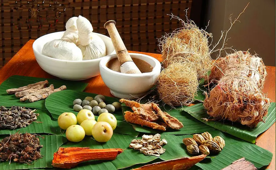 Relaxing Kerala Ayurvedic Tour