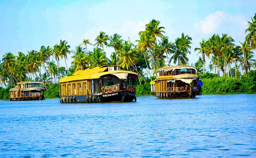 The soulful Luxury Backwater Cruise
