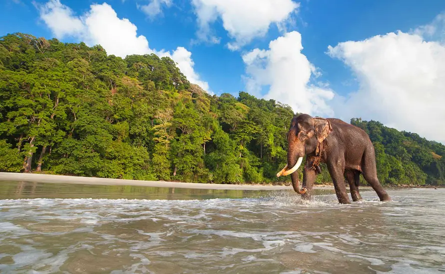 Journey to God's own country Kerala