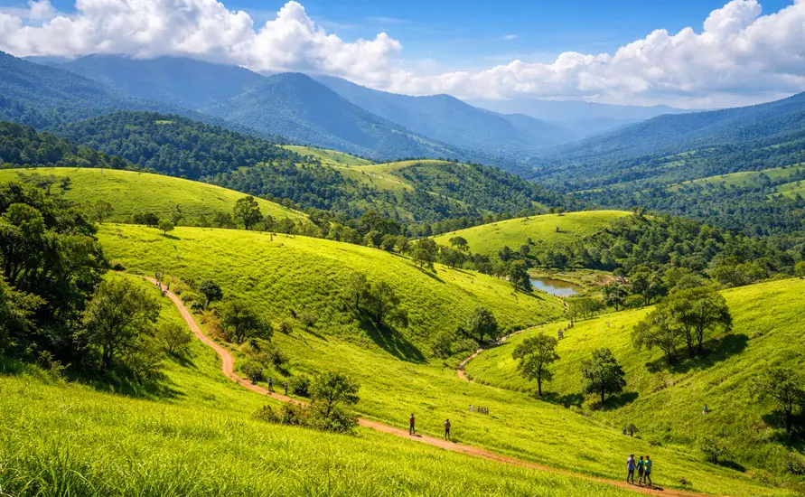 wooden bridge lake green hill sunset view