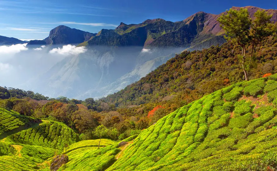 Exotic Kerala Voyage