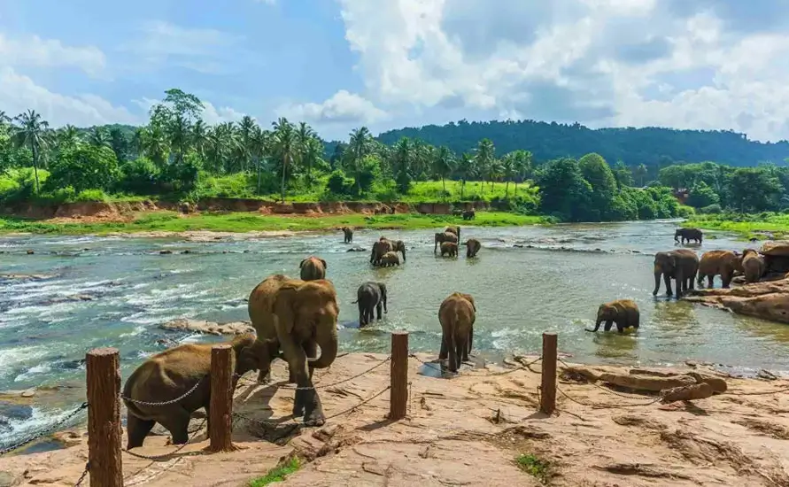 Treasures of Kerala