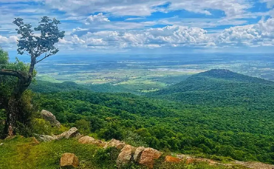 South India Wildlife Safari