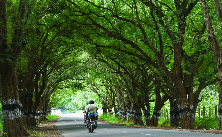 The Unusuals of Kerala Tour