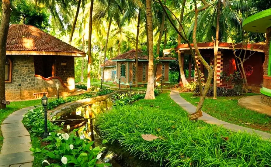 Ayurvedic Treatment for Short Duration
