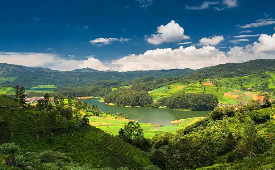 Golden Triangle Tour with South India