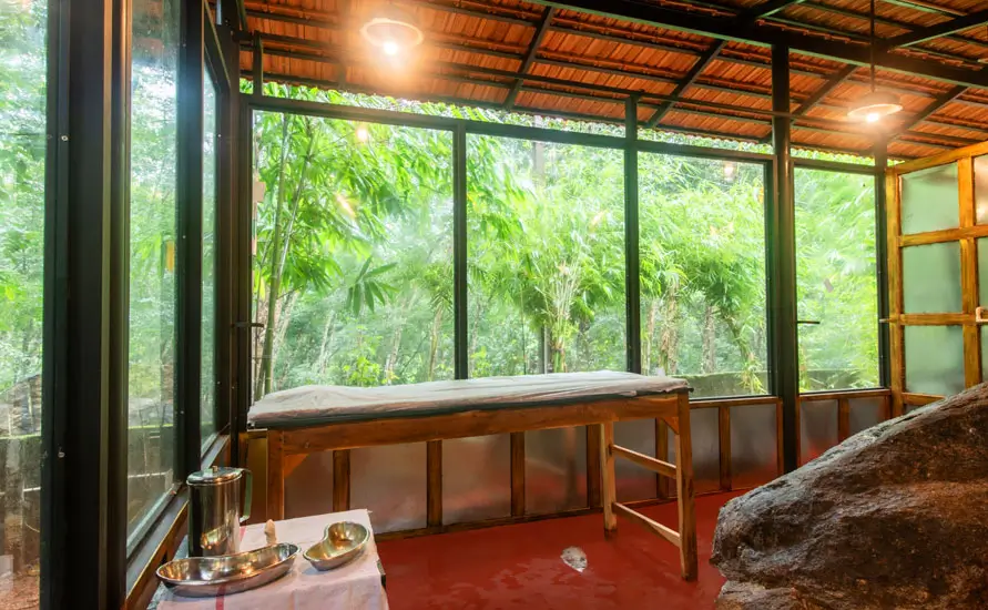 Relaxing Kerala Ayurvedic Tour