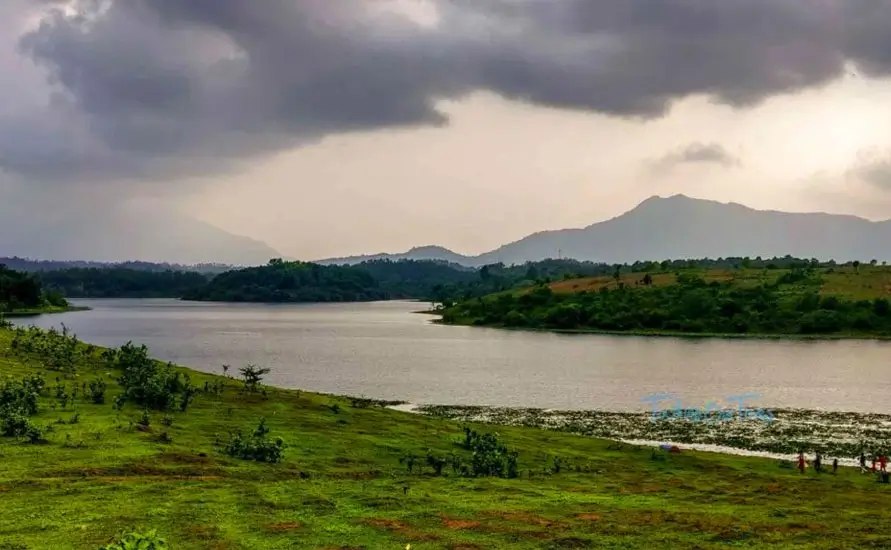 Wayanad Tour Packages