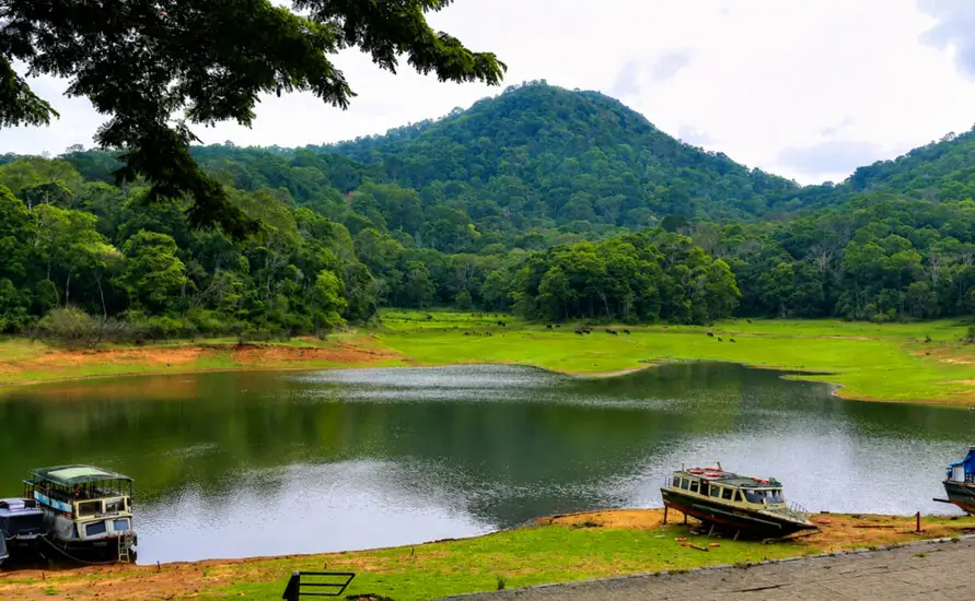 Golden Triangle Tour with Kerala