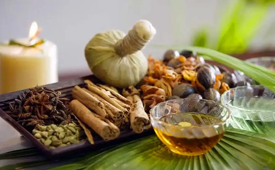 Ayurvedic Tour in Kerala